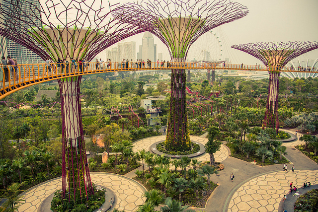 Los jardines de la bahía – Gardens by the bay – Kirai